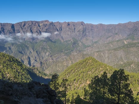 Volcanic landscape and lush pine tree forest, pinus canariensis view from Mirador de la Cumbrecita viewpoint at national park Caldera de Taburiente, volcanic crater in La Palma, Canary Islands, Spain.