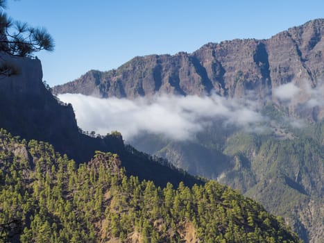 Volcanic landscape and lush pine tree forest, pinus canariensis view from Mirador de la Cumbrecita viewpoint at national park Caldera de Taburiente, volcanic crater in La Palma, Canary Islands, Spain.