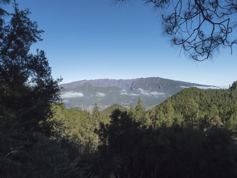 Volcanic landscape with lush green pine trees, colorful volcanoes and lava rock field along path Ruta de los Volcanes, hiking trail at La Palma island, Canary Islands, Spain, Blue sky background.