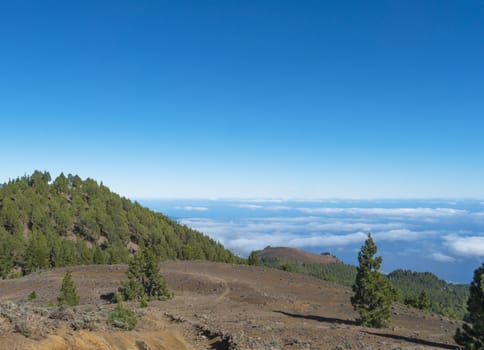 Volcanic landscape with lush green pine trees, colorful volcanoes and lava rock field along path Ruta de los Volcanes, hiking trail at La Palma island, Canary Islands, Spain, Blue sky background.