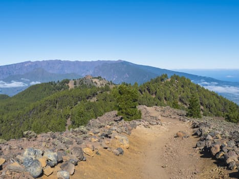 Volcanic landscape with lush green pine trees, colorful volcanoes and lava rock field along path Ruta de los Volcanes, hiking trail at La Palma island, Canary Islands, Spain, Blue sky background.
