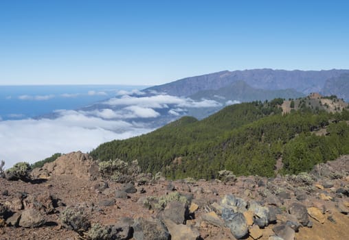 Volcanic landscape with lush green pine trees, colorful volcanoes and lava rock field along path Ruta de los Volcanes, hiking trail at La Palma island, Canary Islands, Spain, Blue sky background.