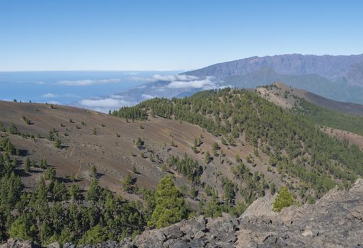 Beautiful volcanic landscape with lush green pine trees and colorful volcanoes along the path Ruta de los Volcanes, beautiful hiking trail at La Palma island, Canary Islands, Spain, Blue sky background.