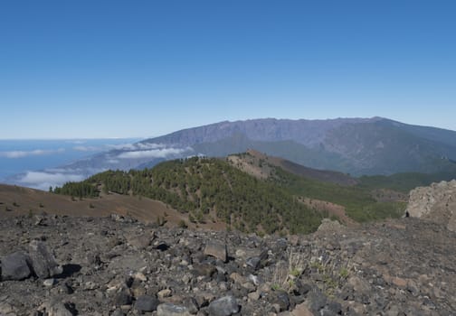Beautiful volcanic landscape with lush green pine trees and colorful volcanoes along the path Ruta de los Volcanes, beautiful hiking trail at La Palma island, Canary Islands, Spain, Blue sky background.