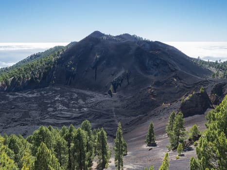 Volcanic landscape with lush green pine trees, colorful volcanoes and lava crater Deseada along path Ruta de los Volcanes, hiking trail at La Palma island, Canary Islands, Spain, Blue sky background.