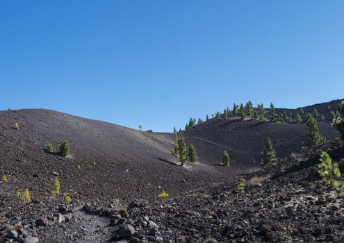 Beautiful volcanic landscape with lush green pine trees and colorful volcanoes along the path Ruta de los Volcanes, beautiful hiking trail at La Palma island, Canary Islands, Spain, Blue sky background.