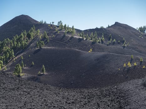Beautiful volcanic landscape with lush green pine trees and colorful volcanoes along the path Ruta de los Volcanes, beautiful hiking trail at La Palma island, Canary Islands, Spain, Blue sky background.