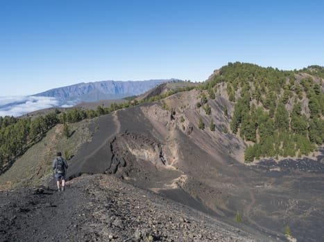 Volcanic landscape with lush green pine trees, colorful volcanoes and lava rock field along path Ruta de los Volcanes, hiking trail at La Palma island, Canary Islands, Spain, Blue sky background.