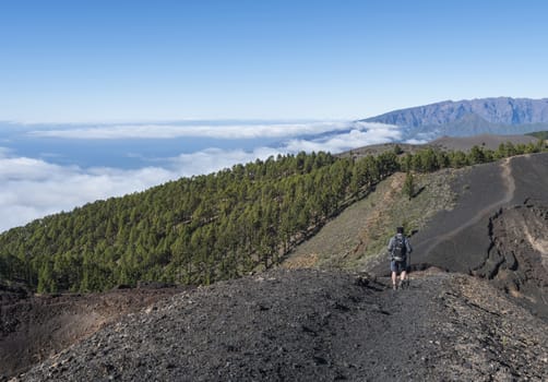 Beautiful volcanic landscape with lush green pine trees and colorful volcanoes along the path Ruta de los Volcanes, beautiful hiking trail at La Palma island, Canary Islands, Spain, Blue sky background.