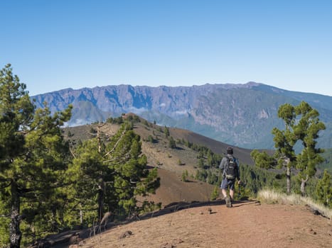Man hiker at volcanic landscape with lush green pine trees, colorful volcanoes and lava rock field on Ruta de los Volcanes, hiking trail at La Palma island, Canary Islands, Spain, Blue sky background.