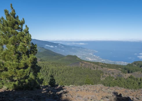 Volcanic landscape with lush green pine trees, colorful volcanoes and lava rock field along path Ruta de los Volcanes, hiking trail at La Palma island, Canary Islands, Spain, Blue sky background.
