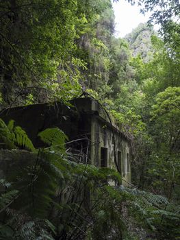 Old run-down overgrown ruin of maintenance house at mysterious Laurel forest, lush subtropical rainforest at hiking trail Los Tilos, La Palma, Canary Islands, Spain.