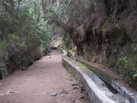 Path along levada, water duct at mysterious Laurel forest Laurisilva, lush subtropical rainforest at hiking trail Los Tilos, La Palma, Canary Islands, Spain.