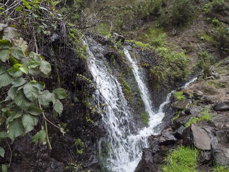 Small waterfall at mysterious Laurel forest Laurisilva, lush subtropical rainforest at hiking trail Los Tilos, La Palma, Canary Islands, Spain.