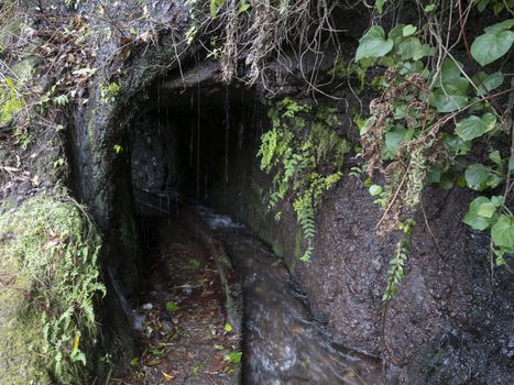 Dark entrance to the tunnel of water duct levada at hiking trail Casa del Monte to Los Tilos at mysterious laurel forest. Beautiful nature reserve on La Palma, Canary islands, Spain.