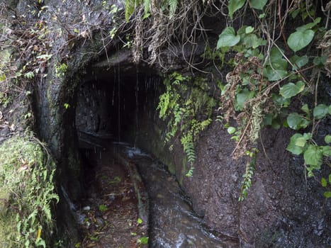 Dark entrance to the tunnel of water duct levada at hiking trail Casa del Monte to Los Tilos at mysterious laurel forest. Beautiful nature reserve on La Palma, Canary islands, Spain.