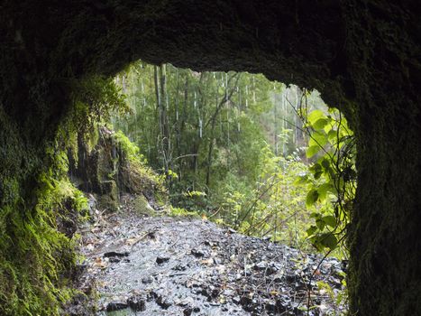 View from dark water duct tunnel through running water to lush jungle at hiking trail Los Tilos at mysterious laurel forest. Beautiful nature reserve on La Palma, Canary islands, Spain.