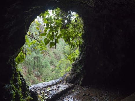 View from dark water duct tunnel through running water to lush jungle at hiking trail Los Tilos at mysterious laurel forest. Beautiful nature reserve on La Palma, Canary islands, Spain.