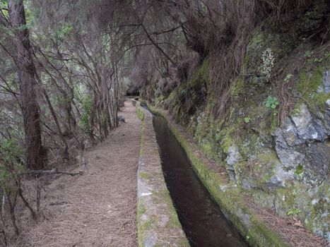 Path along levada, water duct at mysterious Laurel forest Laurisilva, lush subtropical rainforest at hiking trail Los Tilos, La Palma, Canary Islands, Spain.