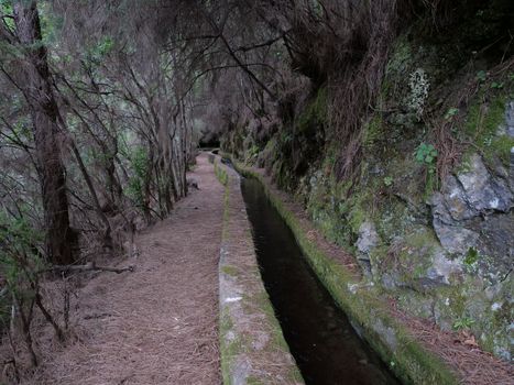 Path along levada, water duct at mysterious Laurel forest Laurisilva, lush subtropical rainforest at hiking trail Los Tilos, La Palma, Canary Islands, Spain.