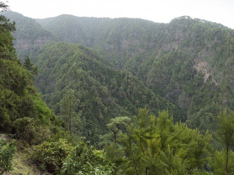 View from dark water duct tunnel through running water to lush jungle at hiking trail Los Tilos at mysterious laurel forest. Beautiful nature reserve on La Palma, Canary islands, Spain.