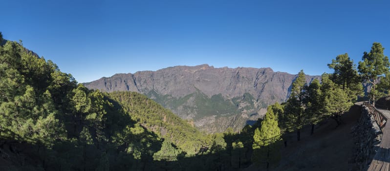 Panoramic view on volcanic landscape and lush pine tree forest, pinus canariensis from Mirador de la Cumbrecita viewpoint at national park Caldera de Taburiente, volcanic crater in La Palma, Canary Islands, Spain.