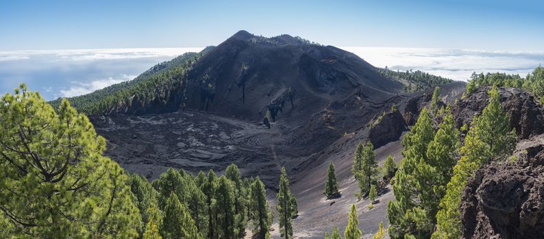 Panoramic landscape with lush green pine trees, colorful volcanoes and lava crater Deseada along path Ruta de los Volcanes, hiking trail at La Palma island, Canary Islands, Spain, Blue sky background.