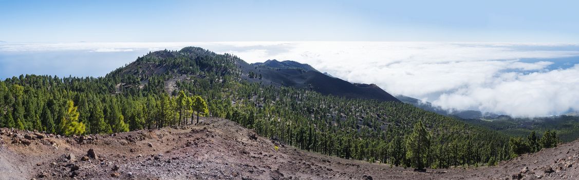 Panoramatic view of volcanic landscape with lush green pine trees, colorful volcanoes and white clouds at path Ruta de los Volcanes, hiking trail. La Palma, Canary Islands, Spain, Blue sky background.