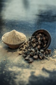 Popular Indian &amp; Asian ayurvedic organic herb musli or Chlorophytum borivilianum or Curculigo orchioides or kali moosli in a clay with its powder in another bowl on wooden surface.