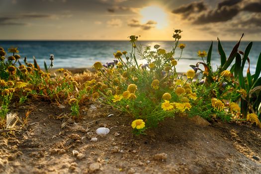 Romantic sunset on sea coast of mediterranean vacation