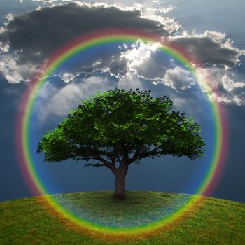 Green Tree. Dramatic clouds and rainbow. 3D rendering.