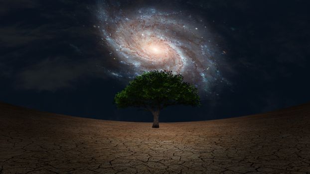 Surrealism. Green tree in arid land. Galaxy in night sky.