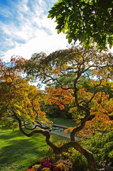 Autumn park. Vivid colors of nature.