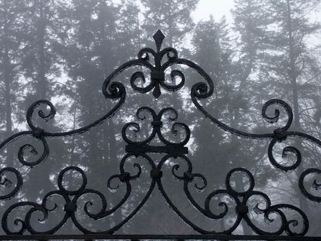 Old gate with wrought swirls ornament