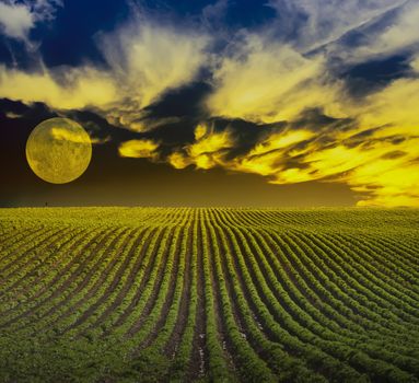 Green field and mystic yellow clouds. Full moon