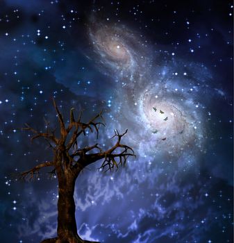 Old leafless tree. Merging galaxies in the sky