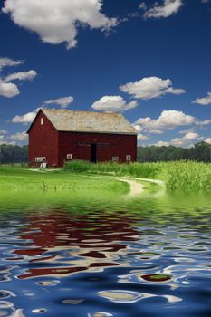 Red Barn in field of wheat. River or lakeshore