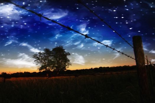 Starry Night and Farmers Fence and field