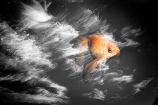 Surrealism. Goldfish in cloudy sky.