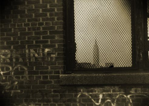 Brick wall with writings. Bars on the window