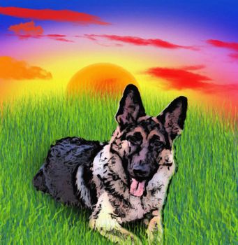 Illustration. German shepherd dog lying on green grass. Sunset 