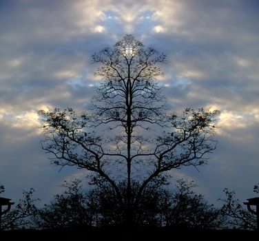 Surreal trees at the dusk. 3D rendering