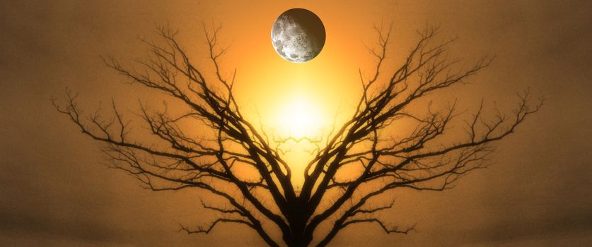 Mystic Tree of Life. Moon in The Sky. Sunset or Sunrise