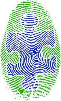 Fingerprint with Puzzle