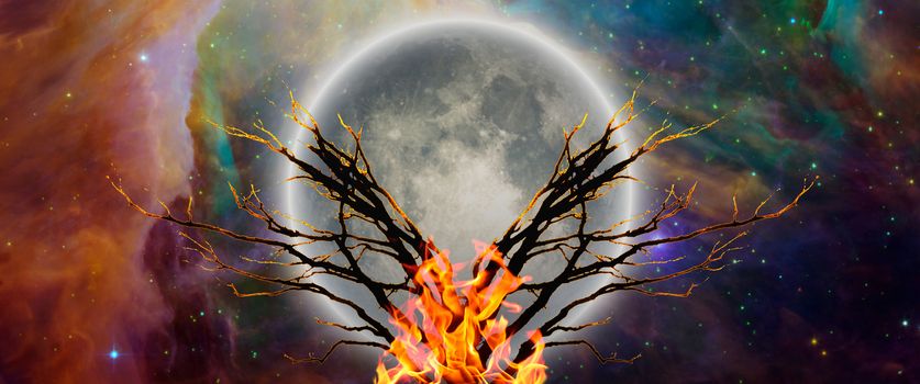 Mystic tree with bonfire in moonlight. Vivid universe