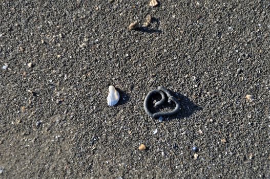 A heart pattern on the sand in the watt