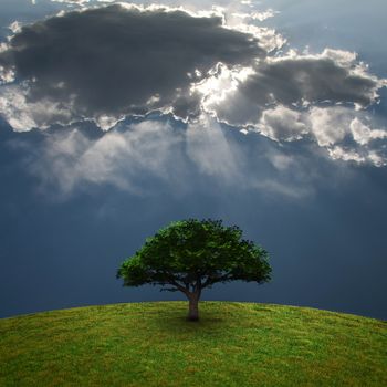 Green Tree. Dramatic clouds. 3D rendering.