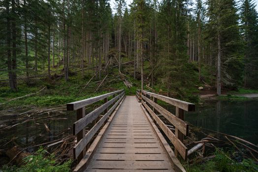 A wooden bridge leads into the green forest in South Tyrol, a naturalistic mountain landscape