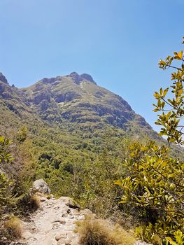 View from Table Mountain National Park in Cape Town, South Africa.