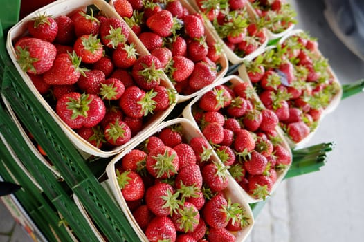 Strawberries for sale in paper boxes